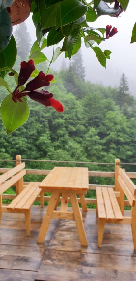 Serinyer Dag Evi Ayder Yaylasi Zewnętrze zdjęcie