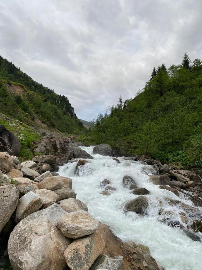 Serinyer Dag Evi Ayder Yaylasi Zewnętrze zdjęcie